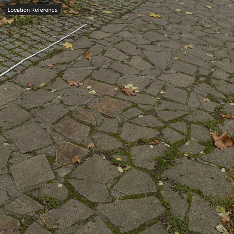 Leaves on Flat Stone Sidewalk Texture