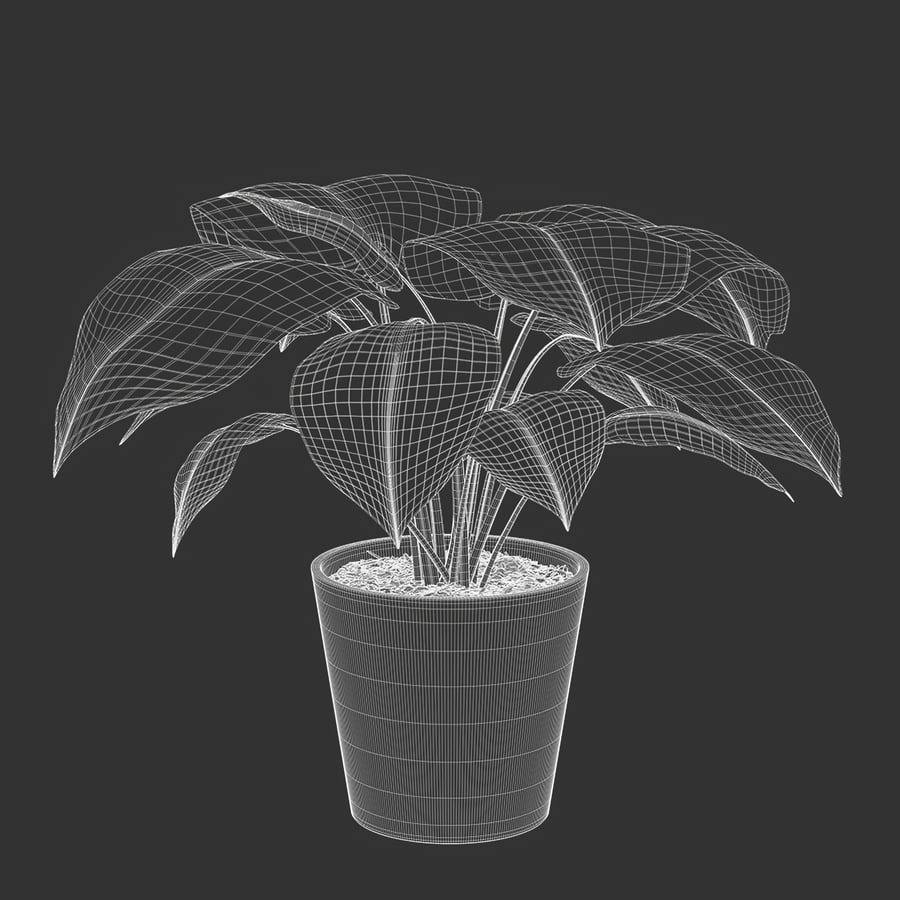 Planta jovem Monstera em vaso Modelo