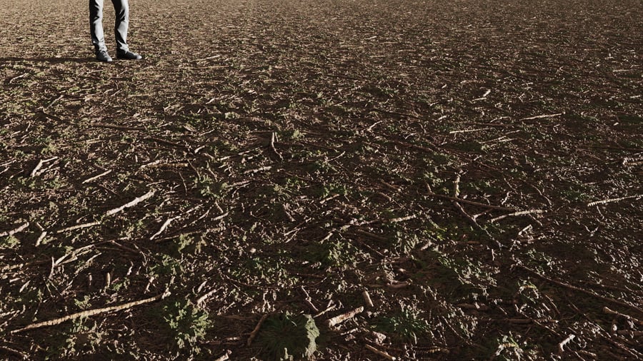 Grass & Forest Debris Dirt Ground Texture