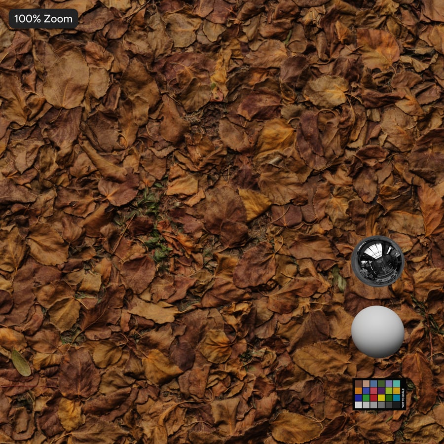 Textura das folhas secas