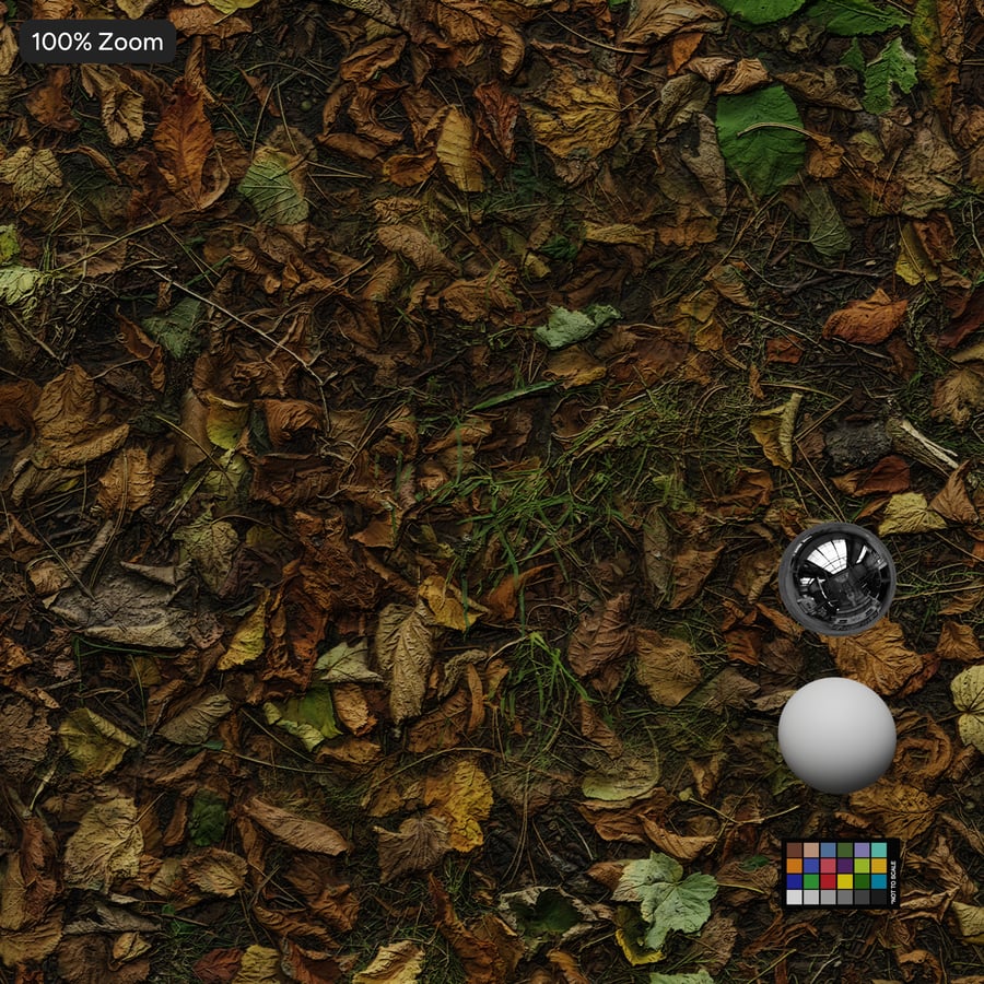 Autumn Leaves on Grass Texture