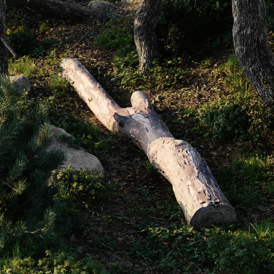 Large Split Bare Log Model