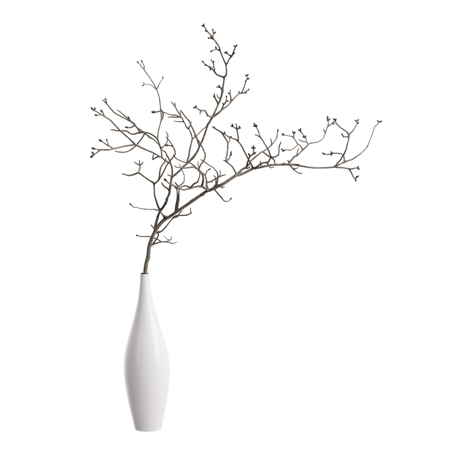 Dried Twigs Vase Model