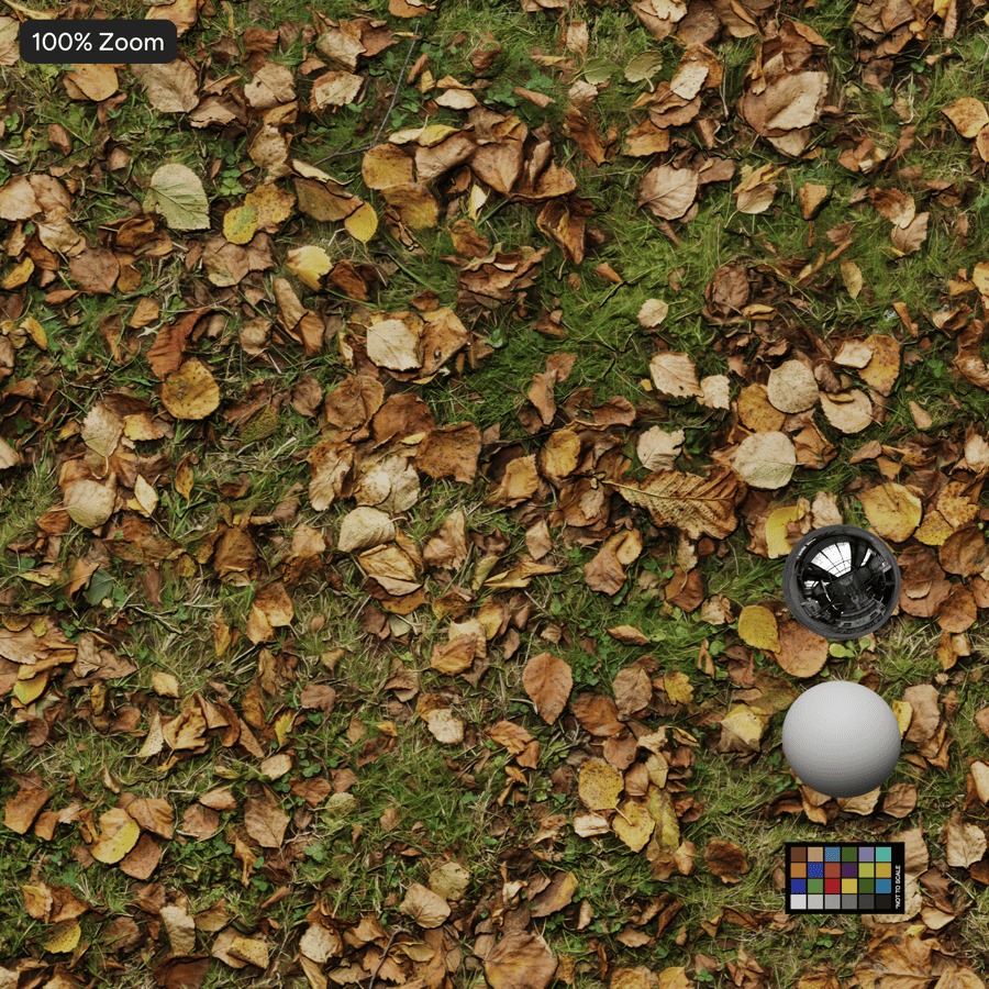 Herfstbladeren op grasgrondtextuur