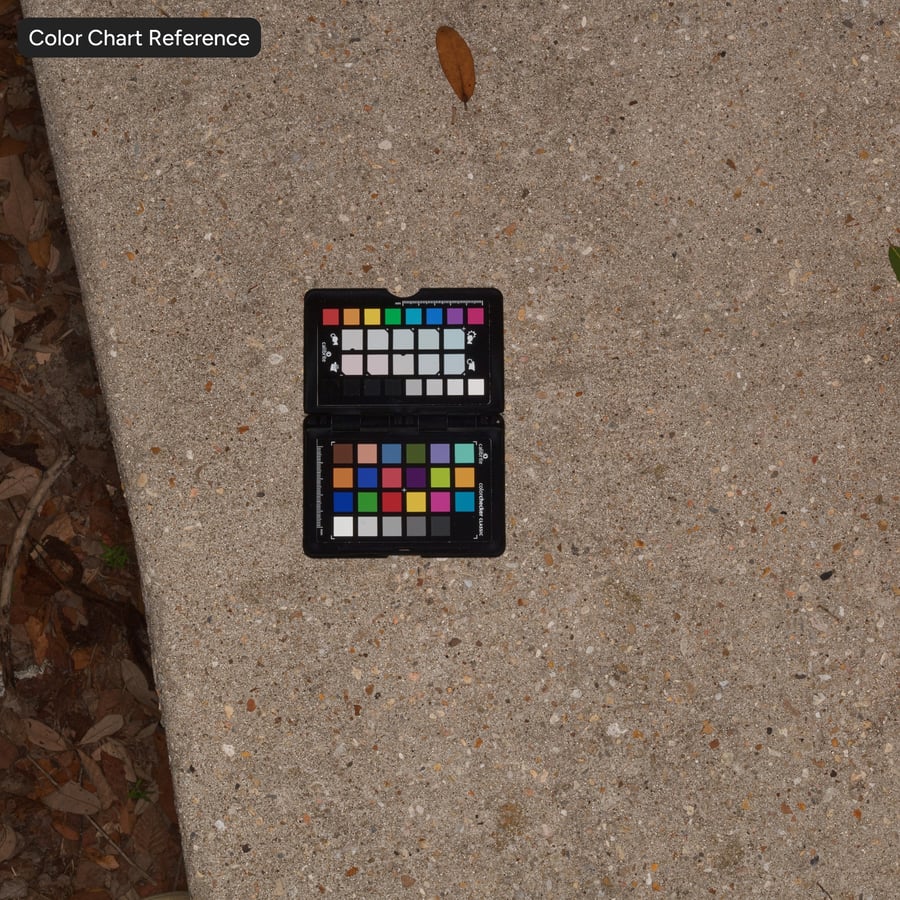 Textura de parede de tábua de madeira musgosa