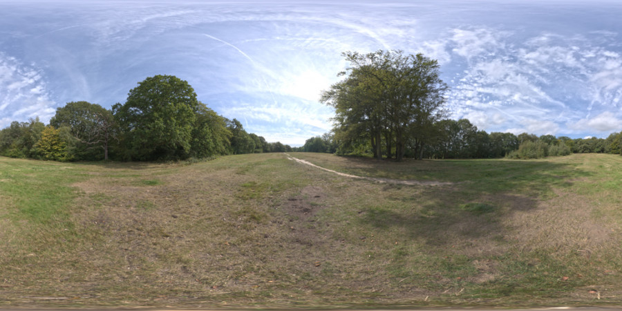 Hdr Outdoor Epping Forest Field Day Cloudy 001