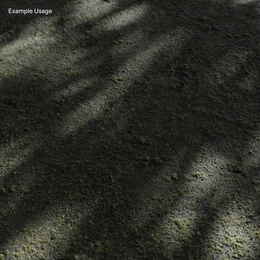 Mossy Coarse Aggregate Asphalt Texture