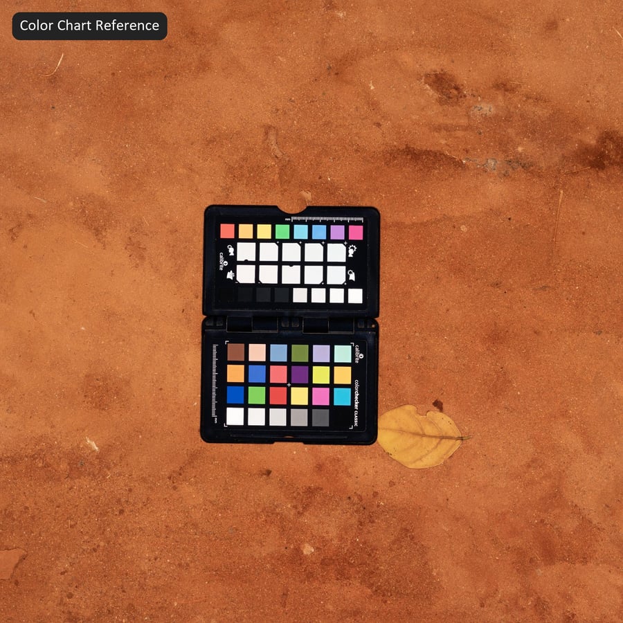 泥泞道路上的轮胎印 Texutre（红色