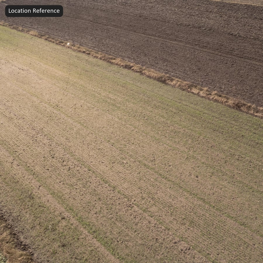 Texture di terreno agricolo coltivato dall'alto, grigio marrone