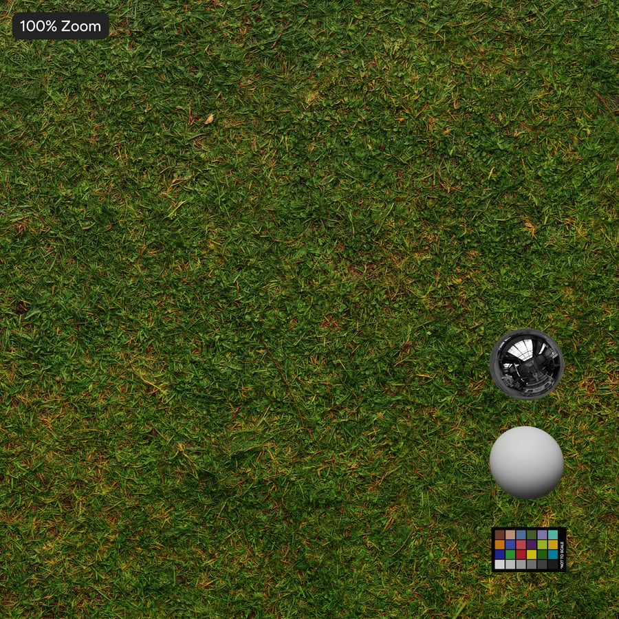 Lush Grass Texture