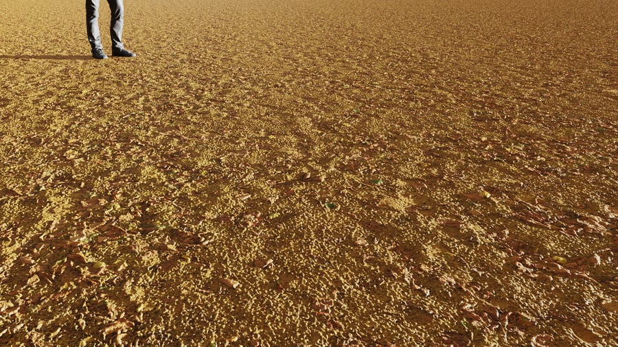 Scattered Leaves Ground Texture