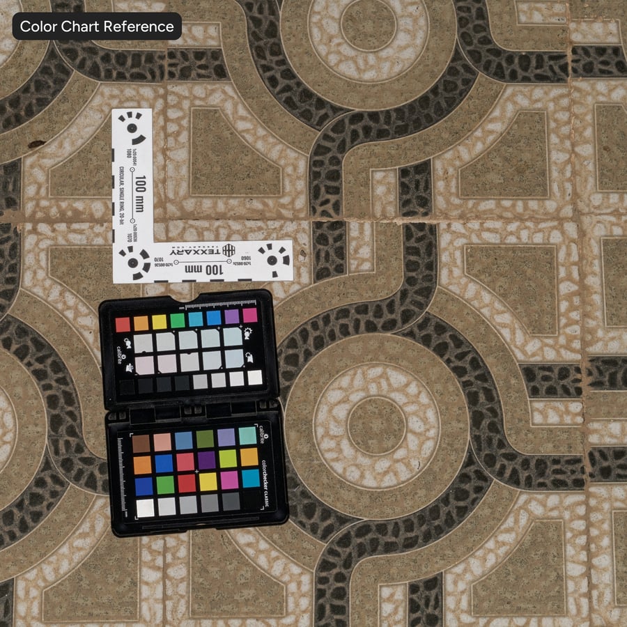 Geometric Patterned Paver Texture, Beige & Black