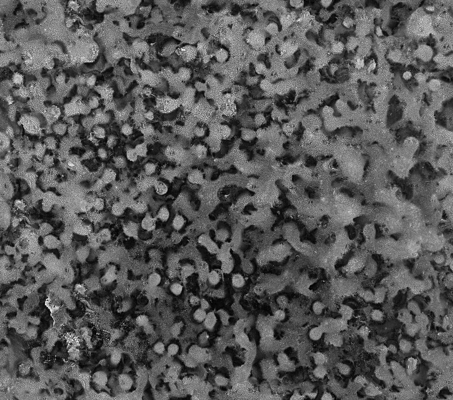 Textura genérica pontilhada de mancha líquida