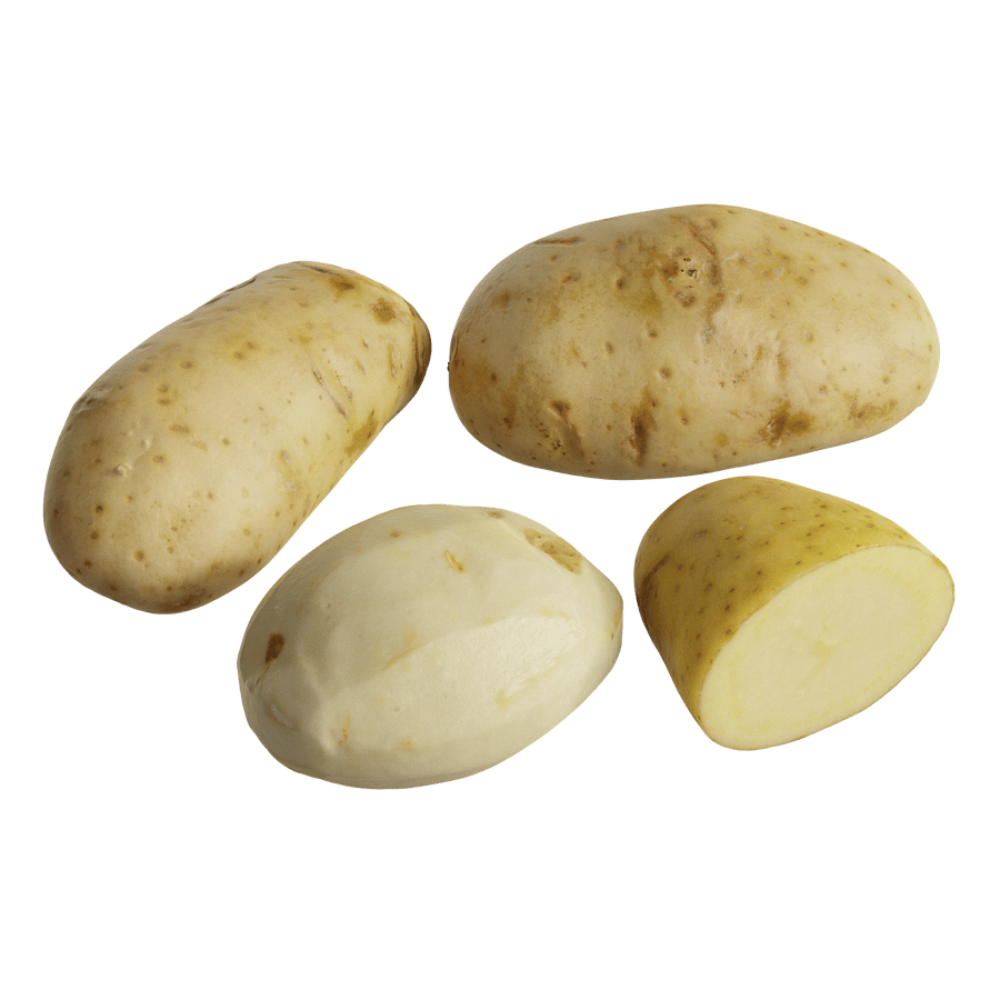 Potato Models