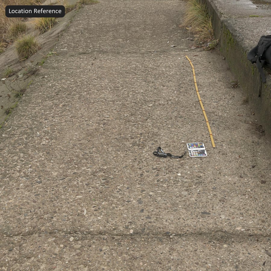 Worn Aggregate Asphalt Texture