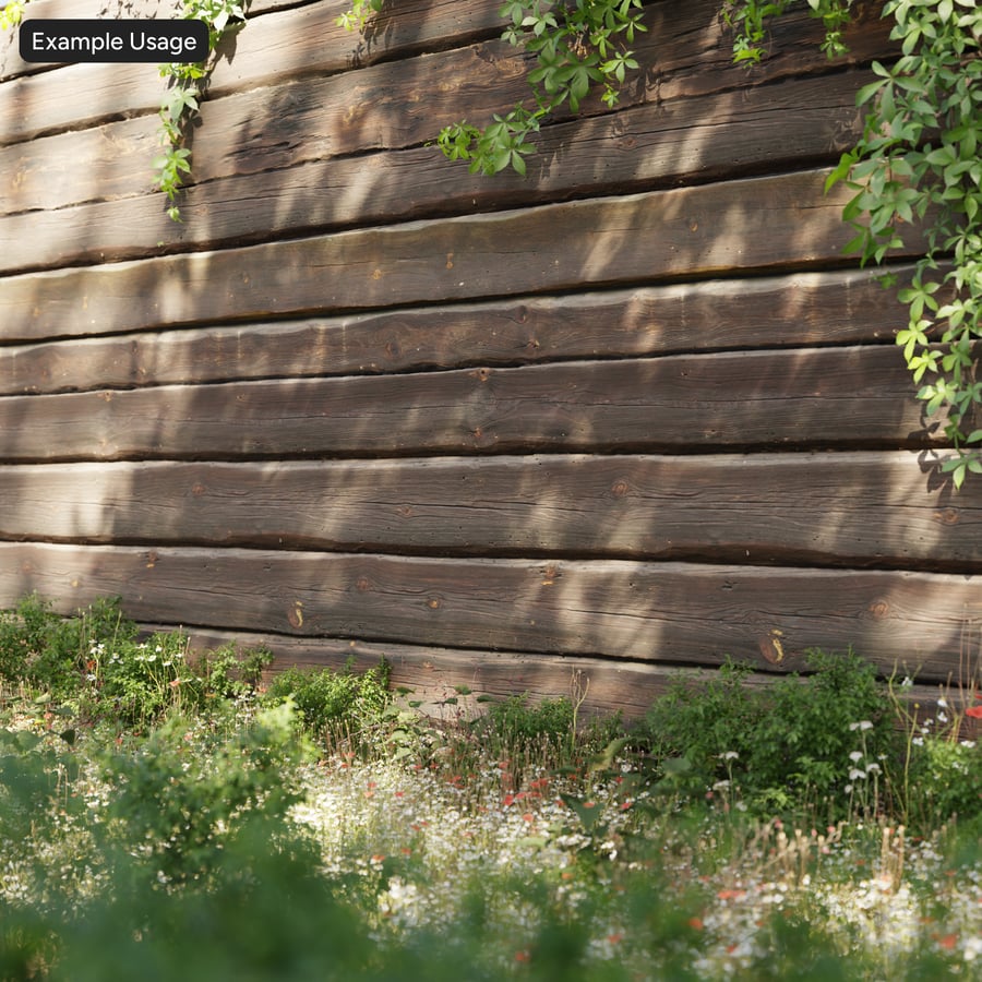 Algae Covered Rough Hewn Wood Wall Texture, Brown