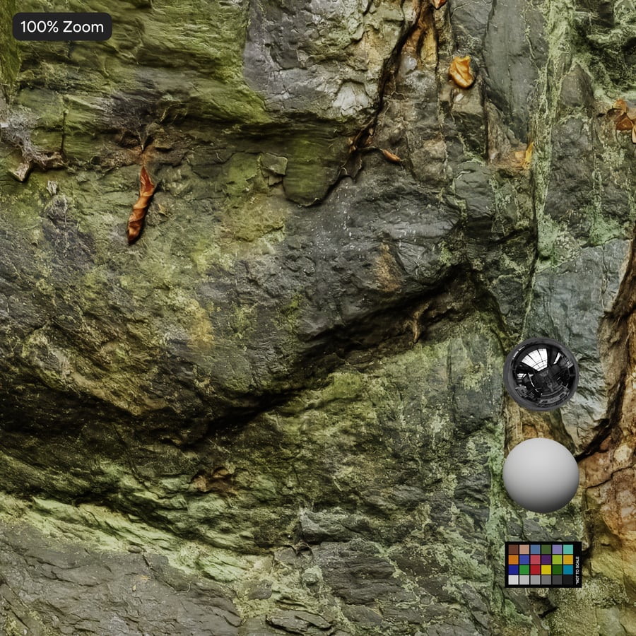 Texture de falaise rocheuse forestière