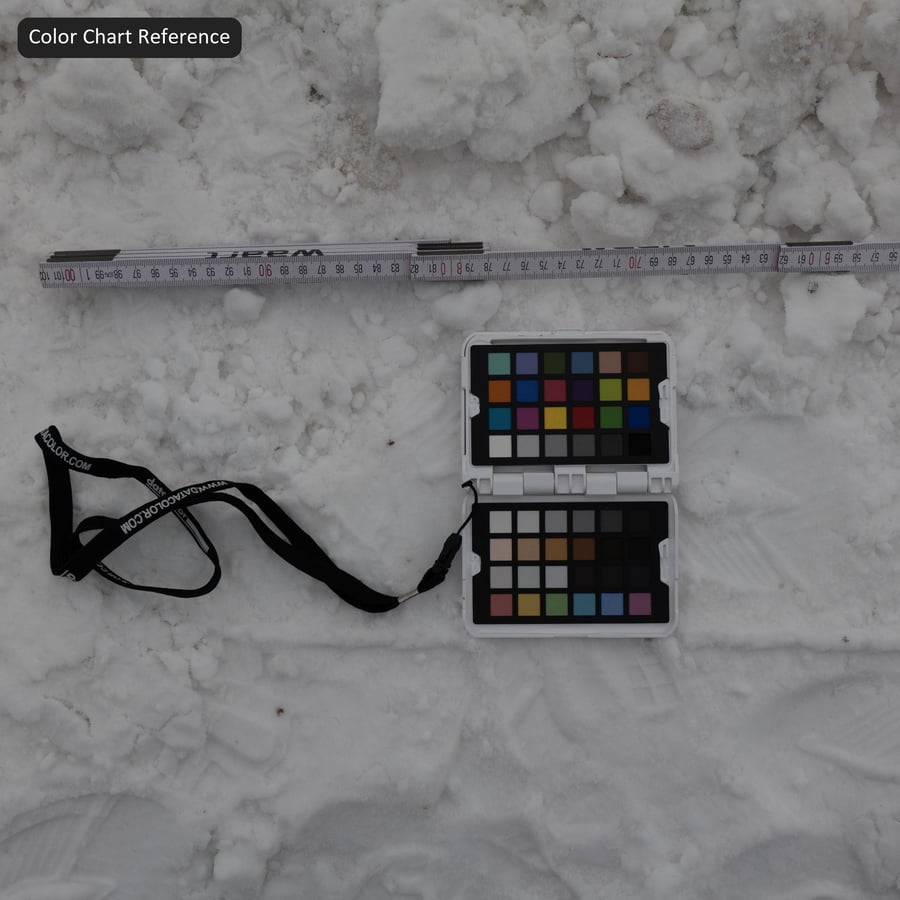 Tire Marks on Thick Snow Texture