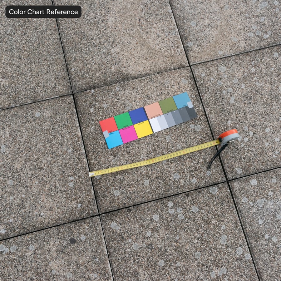 Lichen Square Concrete Paver Texture