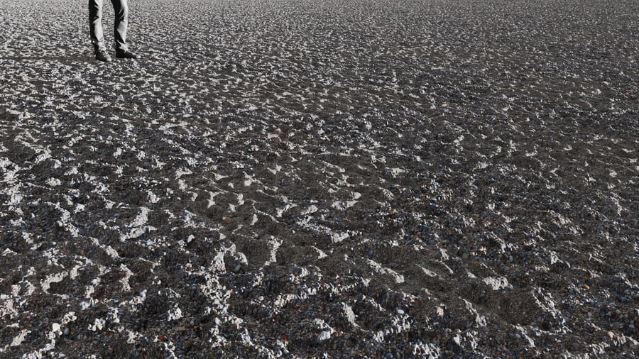 Scattered Pebbles Ground Texture