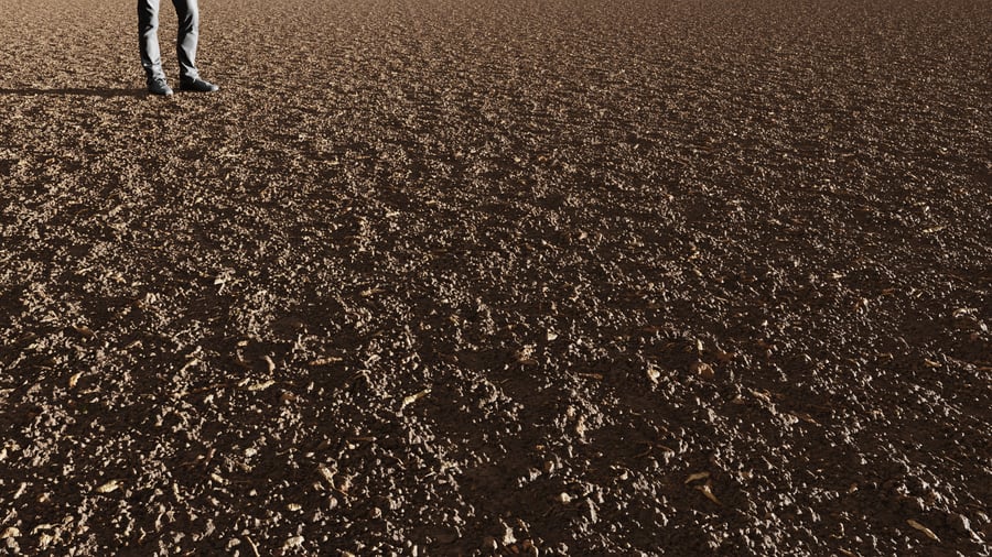 Dark Dry Dirt Forest Ground Texture