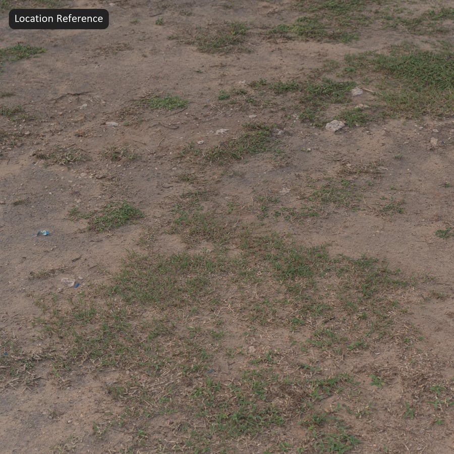 Texture d'herbe parsemée sur sol en terre battue