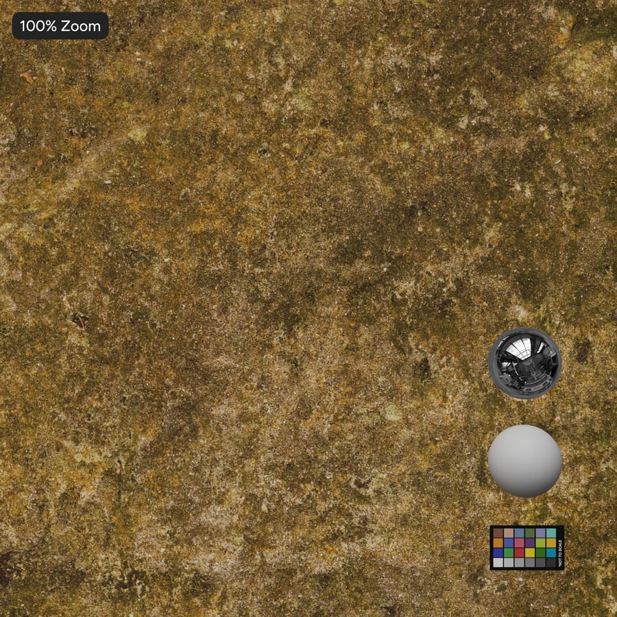 Texture roccia scoscesa e muschiosa