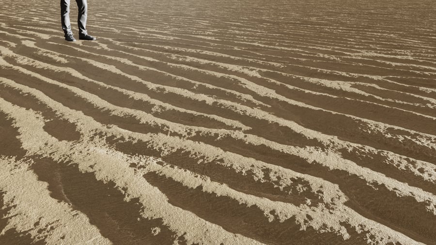 Wet Shoreline Sand Texture