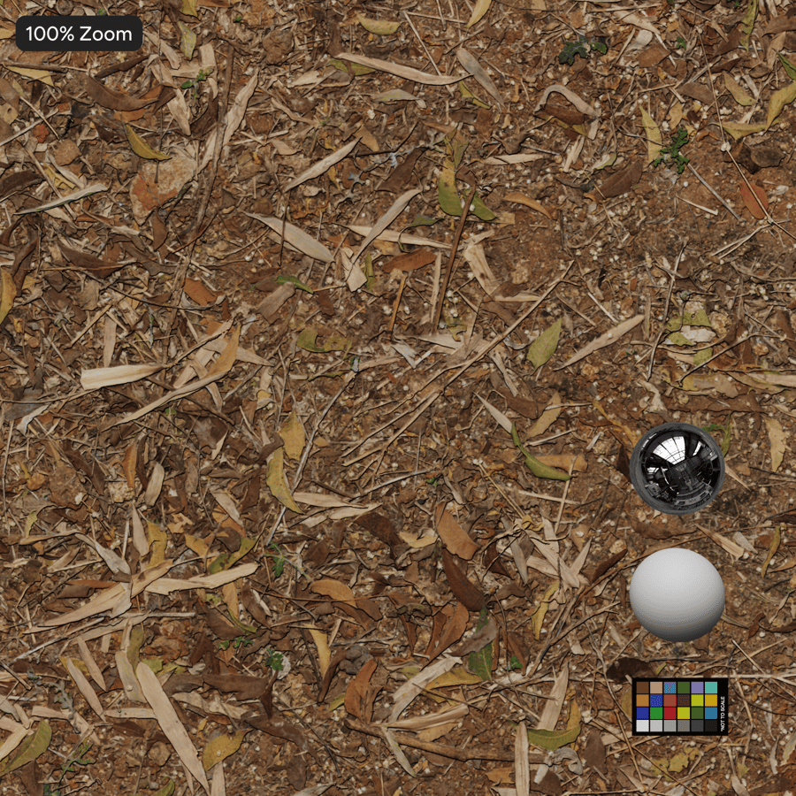 泥土上的落葉紋理