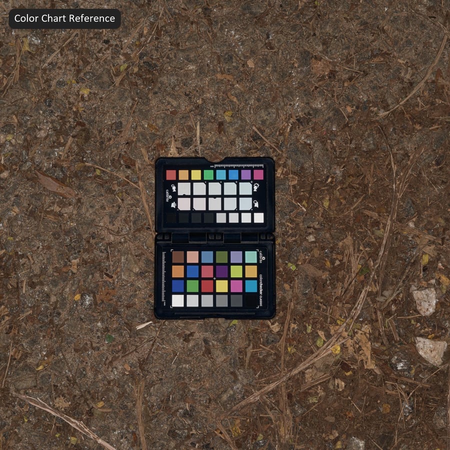 Forest Floor Soil Texture