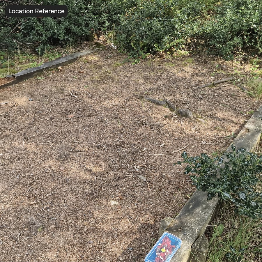 Vuil en dennenborstel op grondtextuur