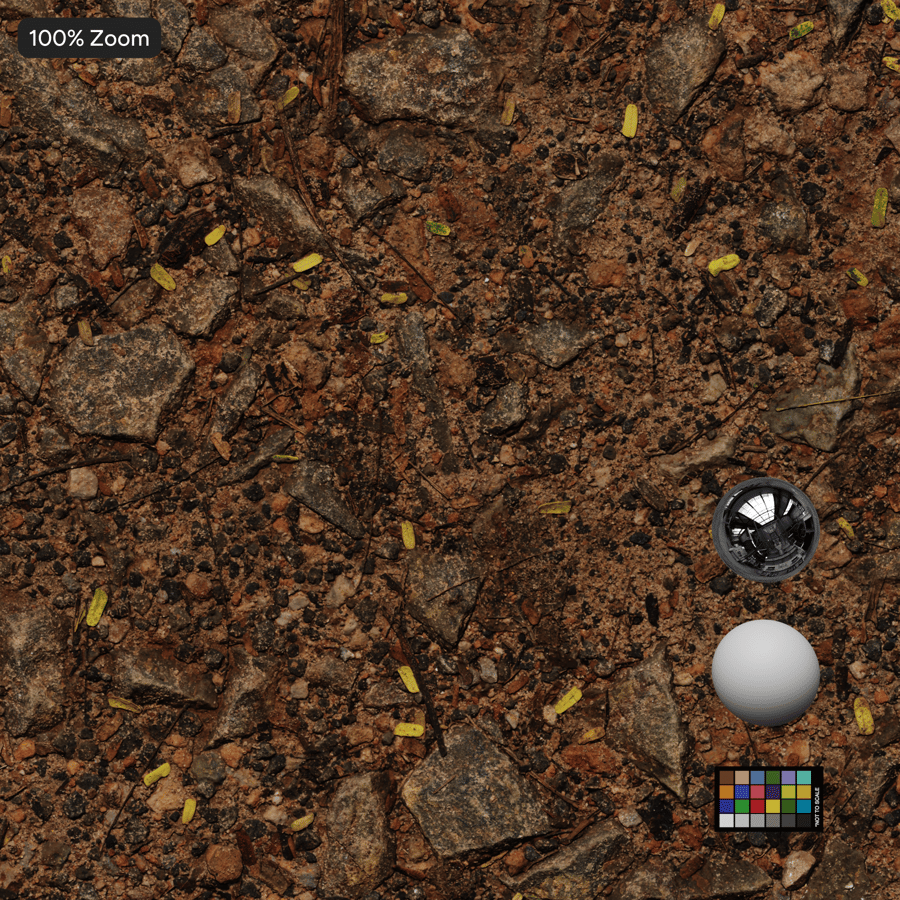 Medium Gravel on Forest Floor Texture
