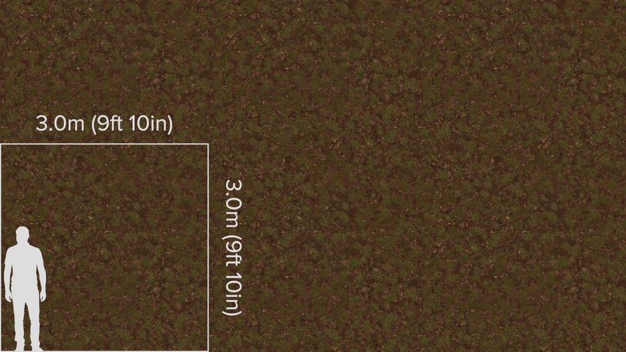 Textura de floresta com relva irregular