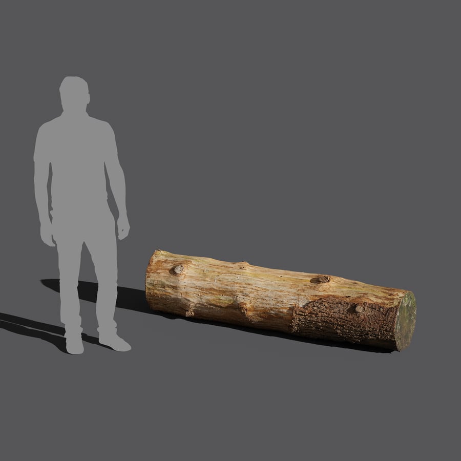 Small Cut Bare Log Model