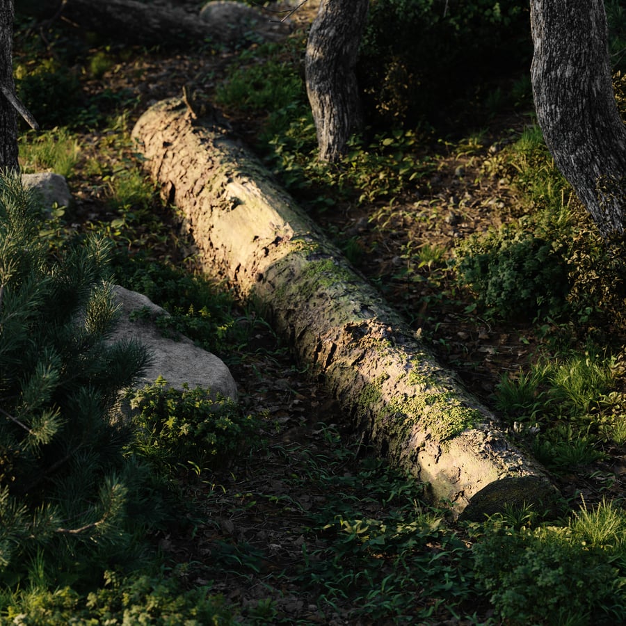 Large Decaying Mossy Forest Log Model