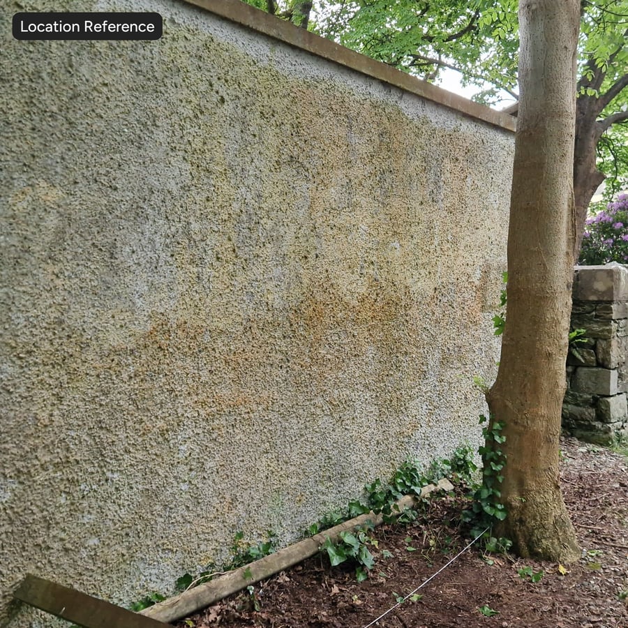 Textura de gesso estucado amarelado, sálvia envelhecida