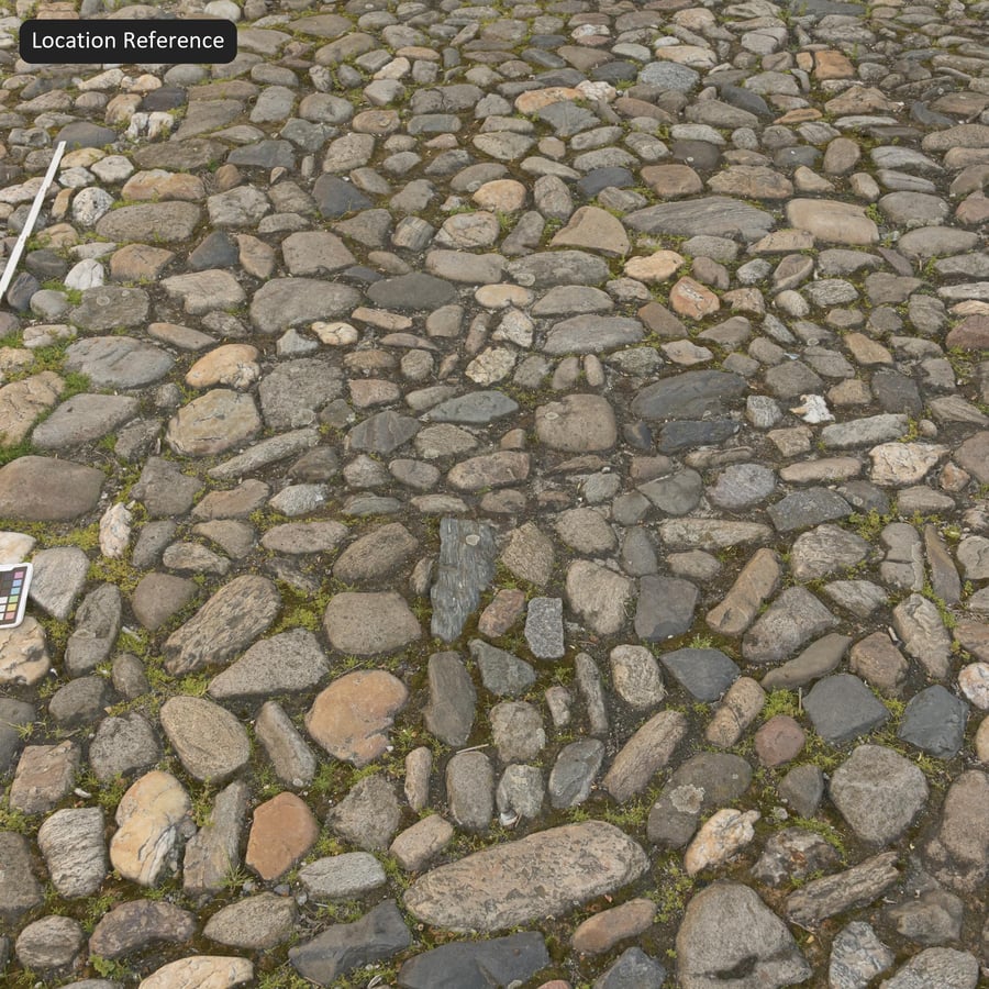 Erbacce su un acciottolato rustico