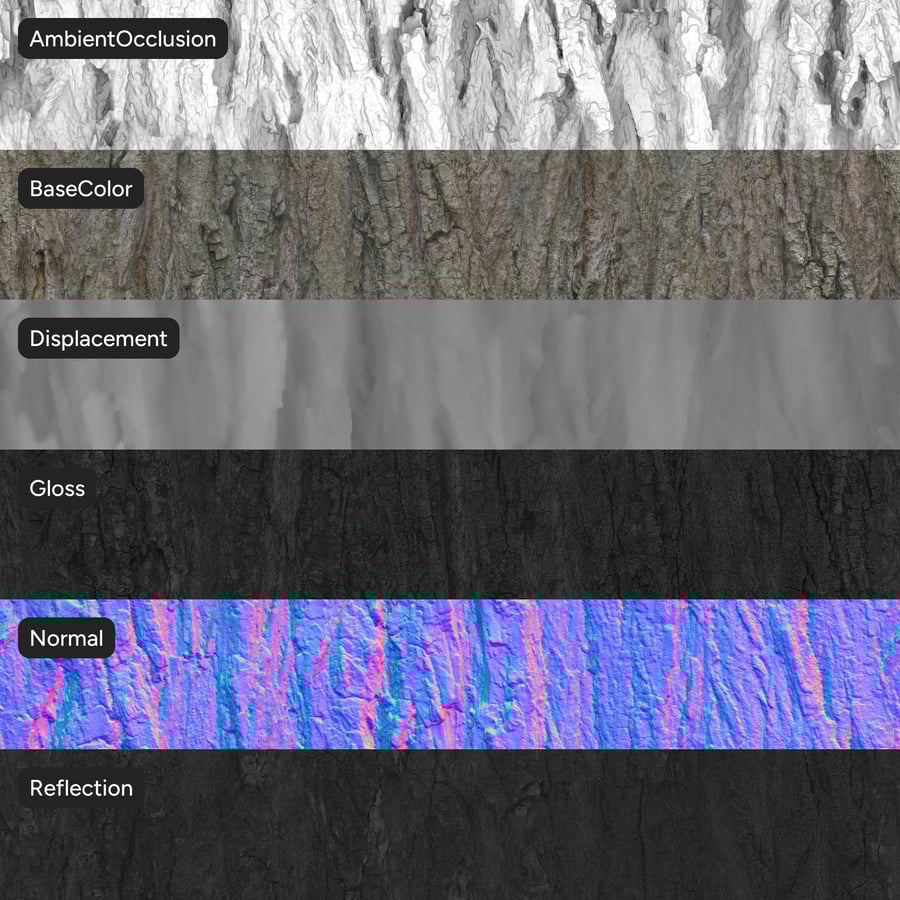 Textura de casca de choupo