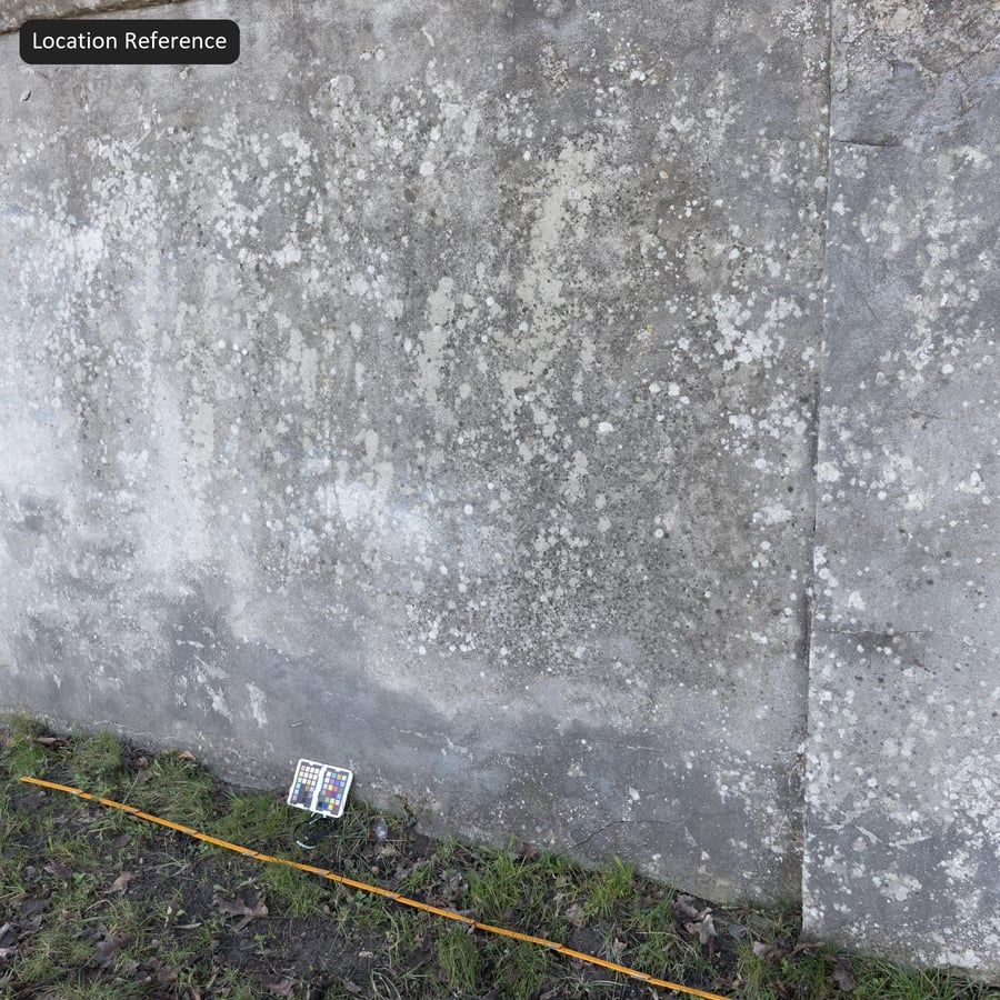 Texture murale en béton moucheté