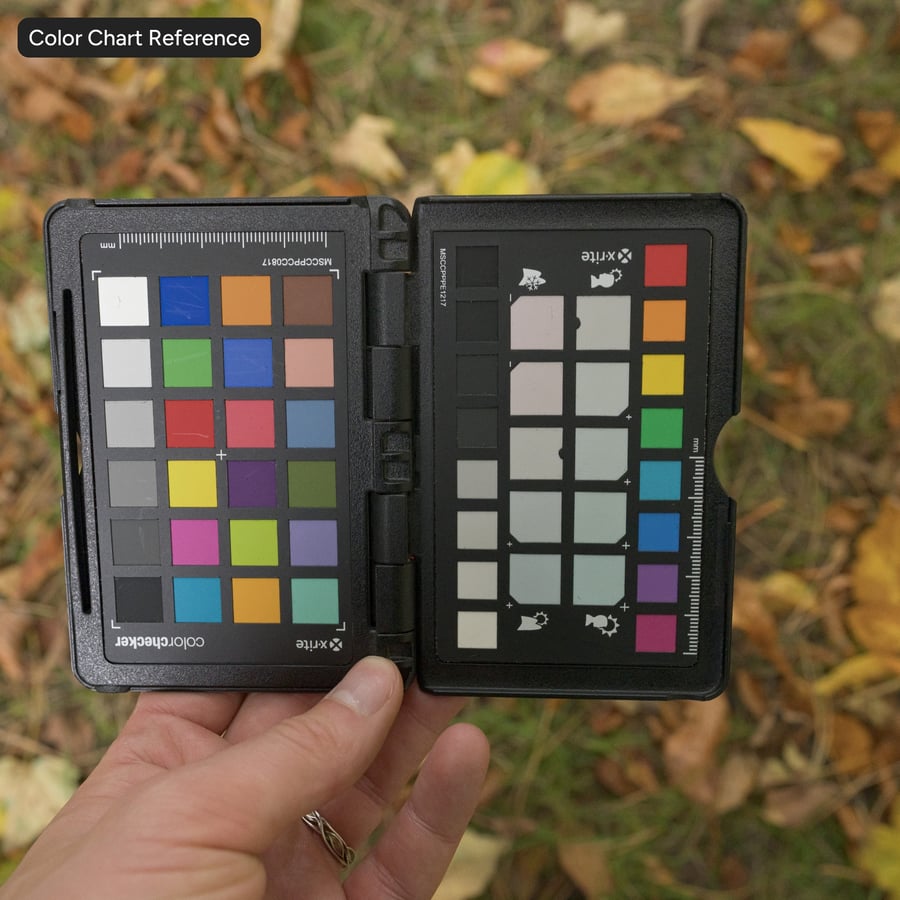 Scattered Autumn Leaves and Pine on Grass Texture