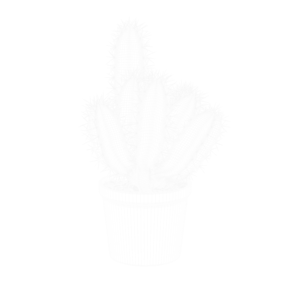 Generic Cactus Plant Model