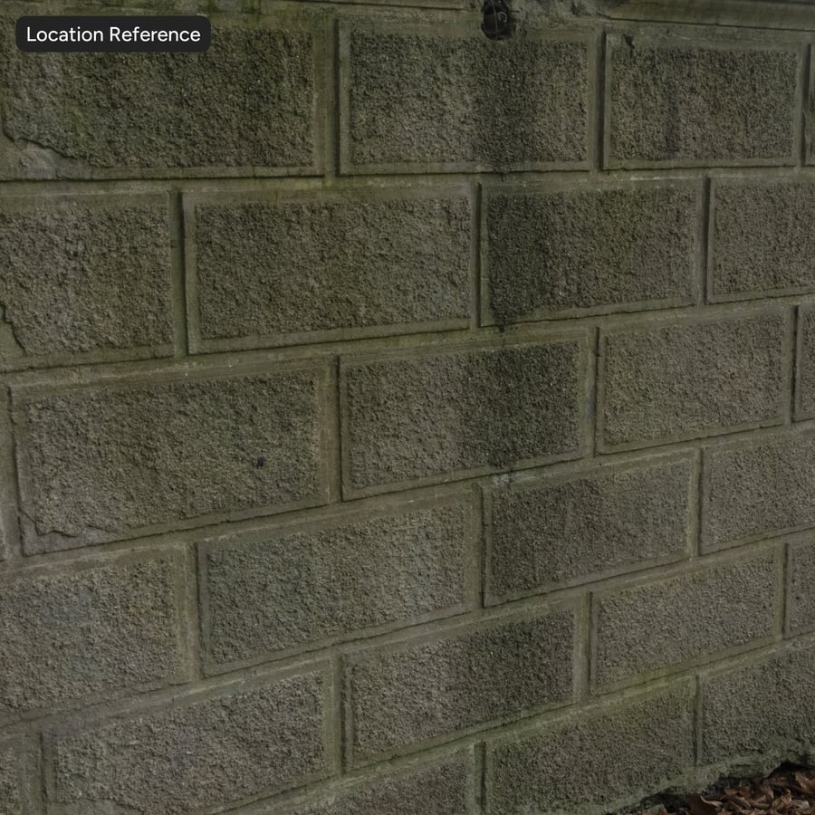 Mossy Aggregate Concrete Block Wall Texture