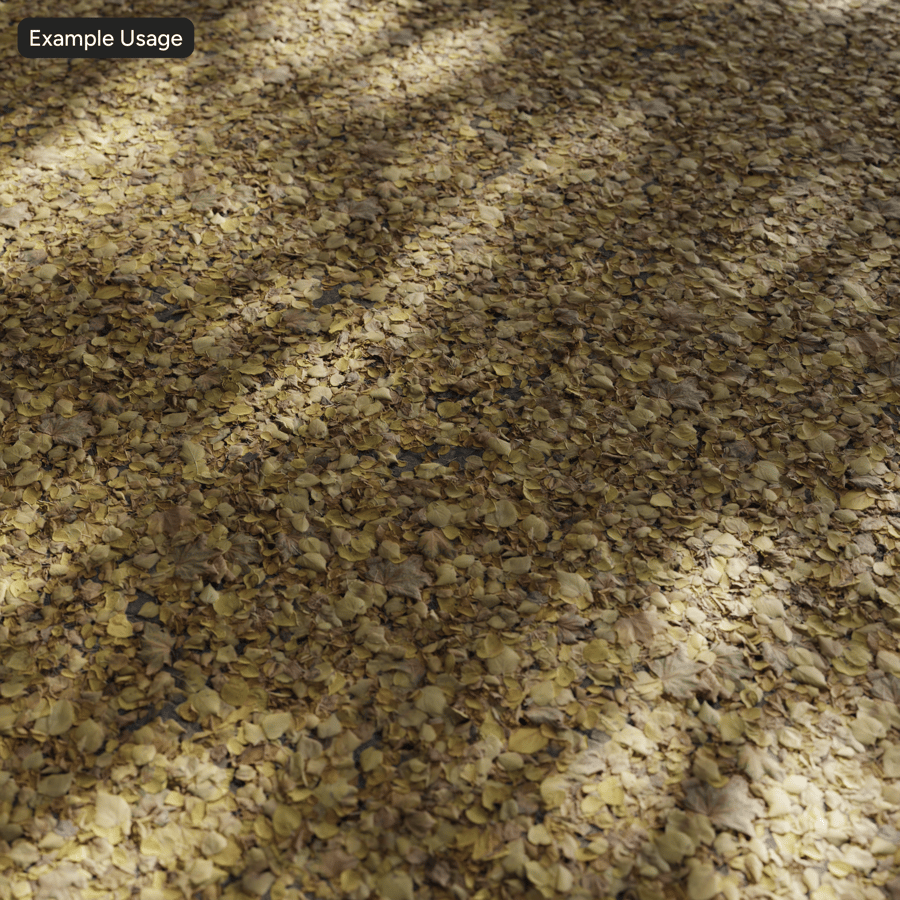 Podzimní spadané listí