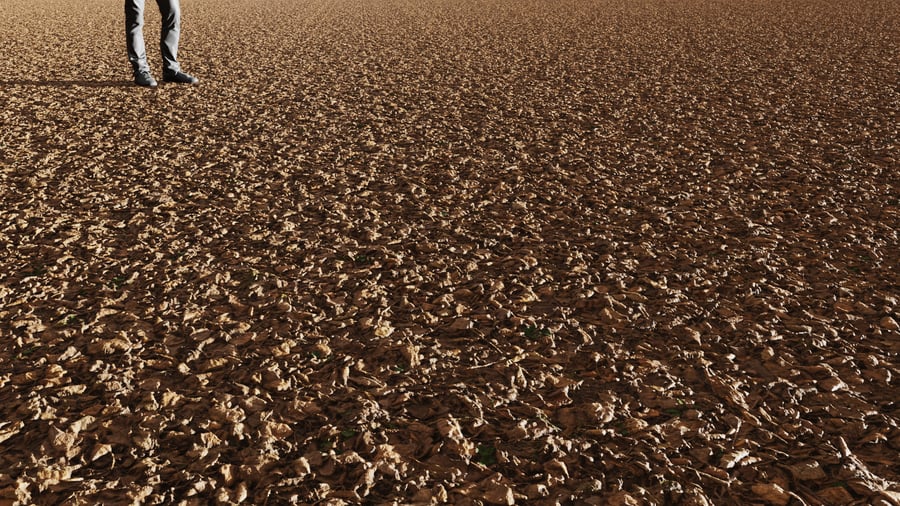 Dried Leaves Ground Texture