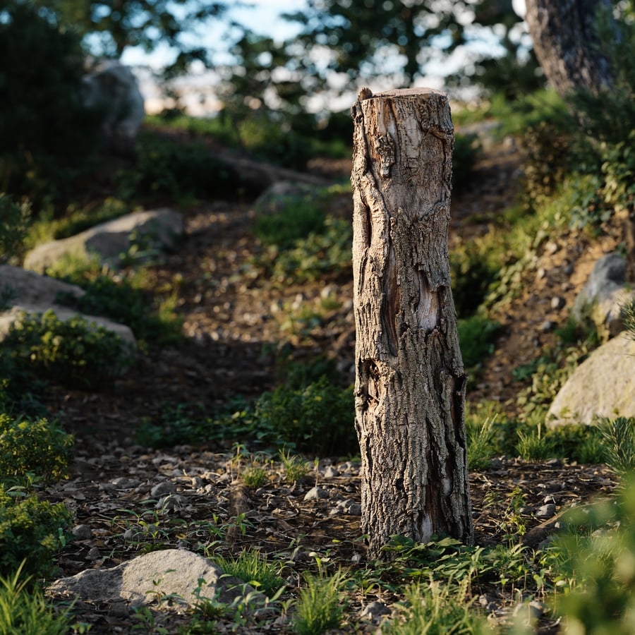 Tall Cut Damaged Deciduous Stump Model