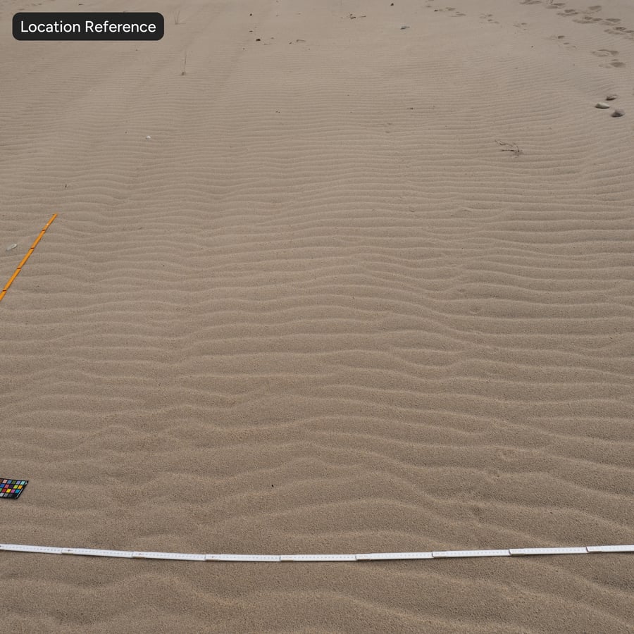 Rippled Footprints on Sand Texture