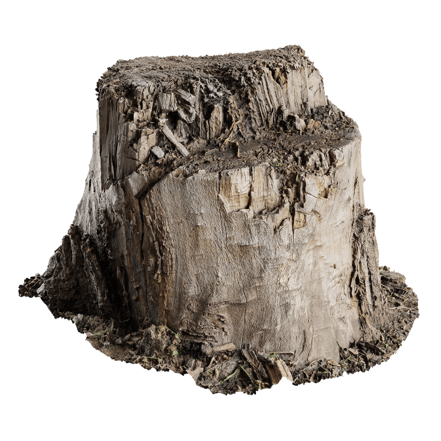 Short Cut Bare Splintered Stump Model