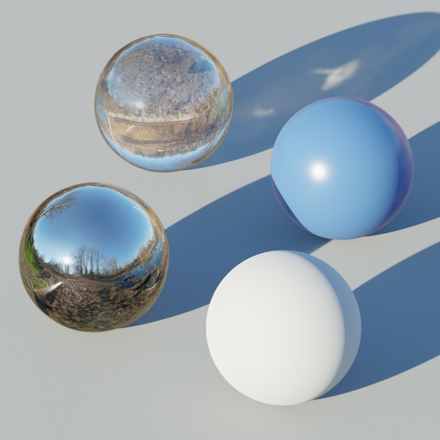 Lake Forest Trail Clear Winters Day Outdoor HDRI