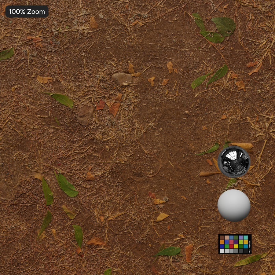 Dirt Forest Texture