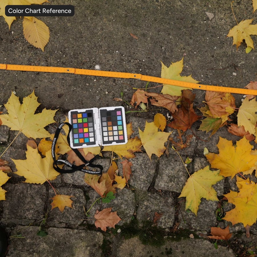 Textura de parede de gesso velho e mofado